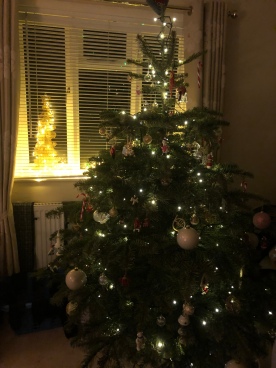My tree is still up and will stay up to the bitter end, January 6th